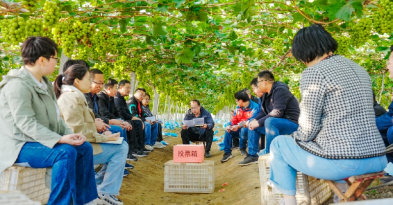 深入一線 學(xué)干結(jié)合 這場主題黨日活動(dòng)別開生面