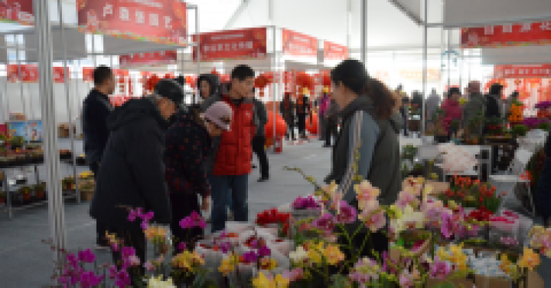 太火爆！金沙灘啤酒城春節(jié)國際商品展銷會延期三天